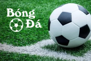 Quy Định Về Bóng Trong Cuộc Và Bóng Ngoài Cuộc Mà Bạn Cần Nắm Rõ