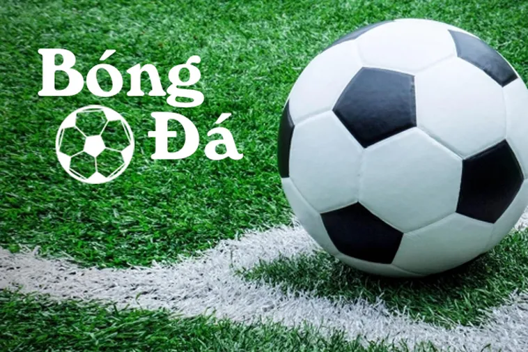 Quy Định Về Bóng Trong Cuộc Và Bóng Ngoài Cuộc Mà Bạn Cần Nắm Rõ