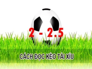 Kèo 2.25 Tại 7M Là Gì Cách Bắt Chuẩn Từng Bước Cho Người Mới