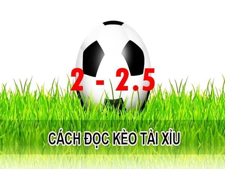 Kèo 2.25 Tại 7M Là Gì Cách Bắt Chuẩn Từng Bước Cho Người Mới
