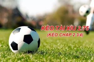 Kèo 2.75 Tại 7M: Cách Đọc Kèo Tài Xỉu 2 Trái Rưỡi 3 Trái Chuẩn Xác