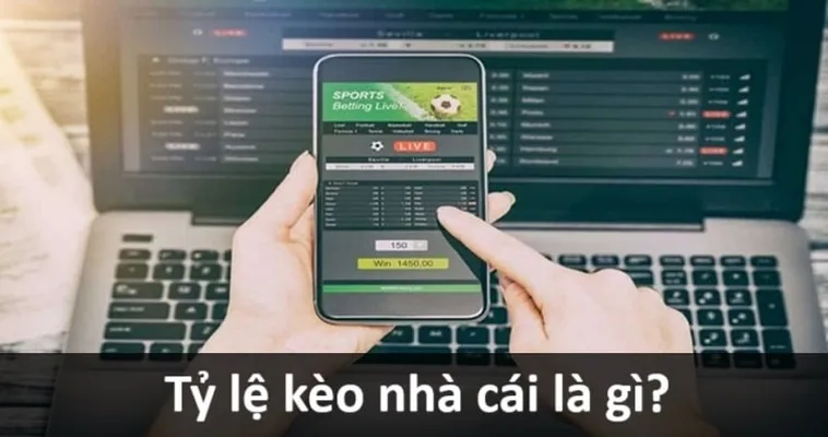 Kèo Bóng Đá 7M Click Xem Ngay Cách Đọc Kèo Chuẩn Cho Người Mới