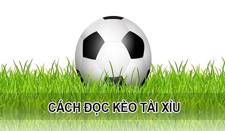 Kèo tài xỉu: Giúp người chơi nhận định khả năng nổ bàn thắng từng hiệp đấu dựa trên các thống kê lịch sử và phong độ ghi bàn gần đây của các chân sút chủ lực.